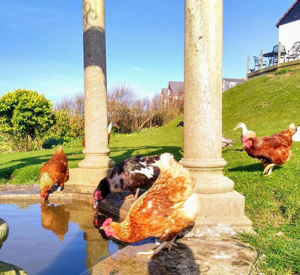 Upton Cross B&B Bude Eksteriør billede